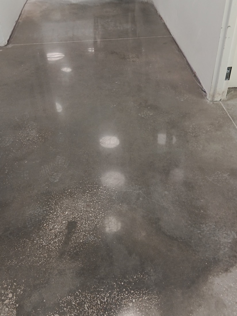 Polished concrete corridor at the University of Florida